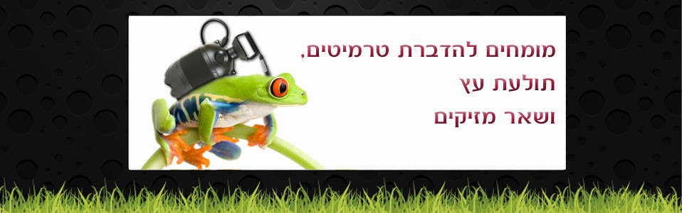 הדברת טרמיטים