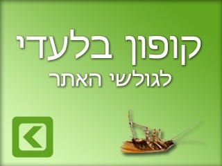 מבצעים